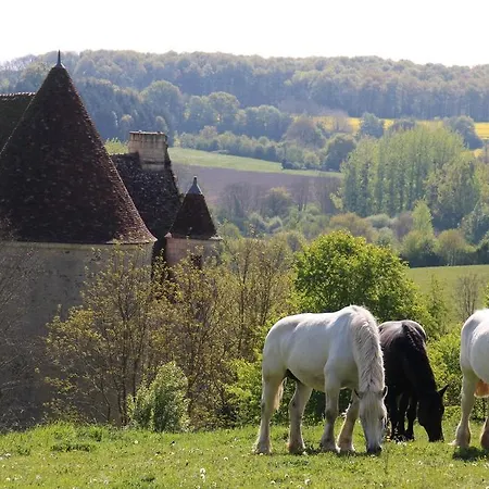 Logis- Hotel & Restaurant Le Montligeon 2* La Chapelle-Montligeon