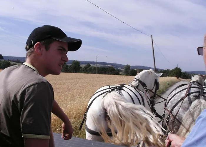 Logis- & Restaurant Le Montligeon 호텔 2*