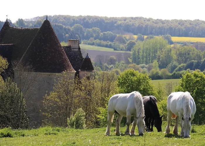 Logis- & Restaurant Le Montligeon 2* La Chapelle-Montligeon